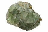 Sea-foam Green, Cubic Fluorite Crystal Cluster - Morocco #164550-2